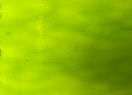 Wissmach Lime Green Aqualite